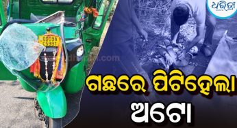 ବାଇକ୍‌କୁ ବଞ୍ଚାଇବାକୁ ଯାଇ ଗଛରେ ପିଟିହେଲା ଅଟୋ, ୨ ଗୁରୁତର